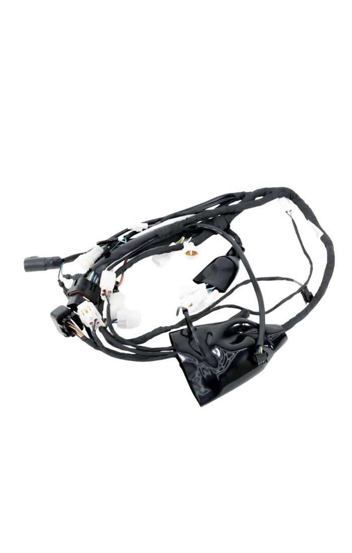 Arnès OEM SS 3.0