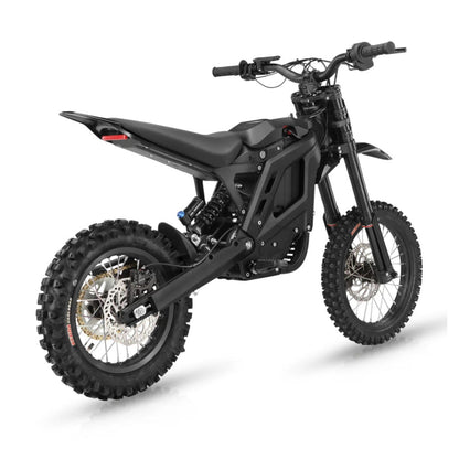 E Ride Pro Mini R