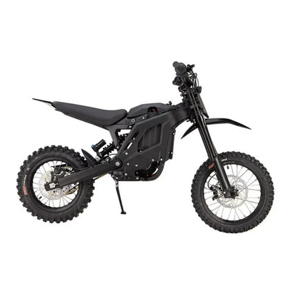 E Ride Pro Mini R