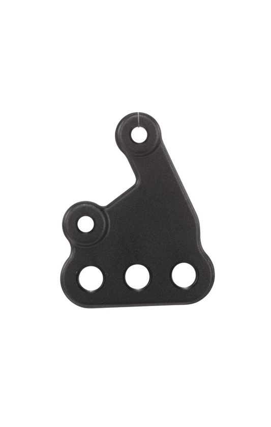 OEM Right Foot Peg Mount